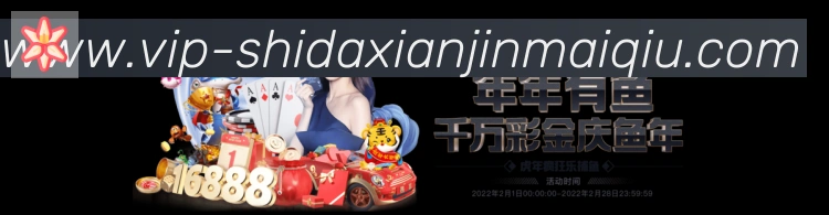 对战数据统计